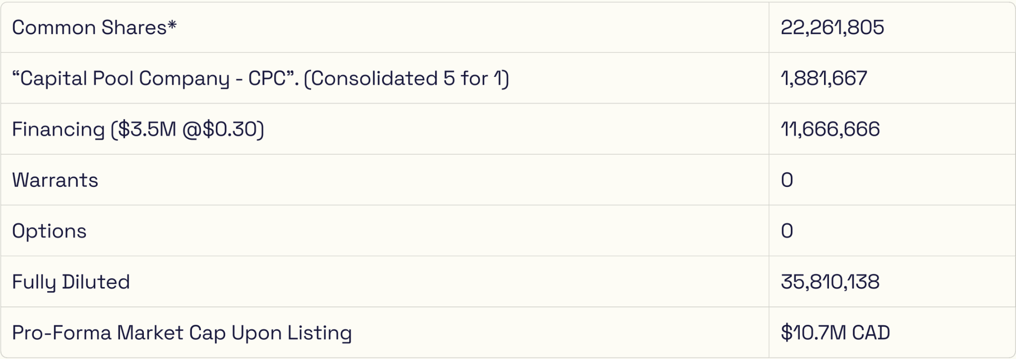 Capital structure table